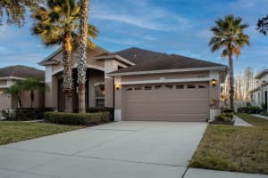 20748 Amanda Oak Ct, LAND O LAKES