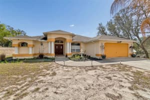 16402 Fringe Tree Dr, SPRING HILL