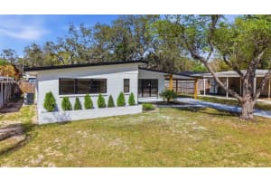 8014 N Lynn Ave, TAMPA