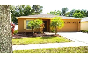 30950 Mandolin Cay Ave, WESLEY CHAPEL