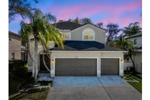 1732 Split Fork Dr, OLDSMAR 1732 Split Fork Dr, OLDSMAR