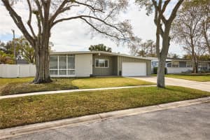 3312 Nakora Dr, TAMPA