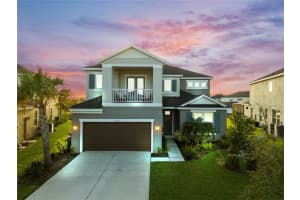 33975 Astoria Cir, WESLEY CHAPEL