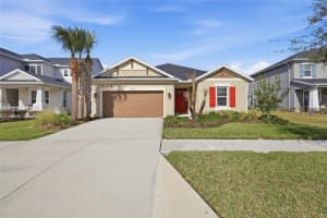 34095 Astoria Cir, WESLEY CHAPEL
