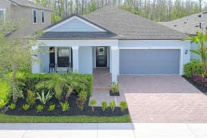 5011 Ballantrae Blvd, LAND O LAKES