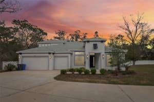 2304 Clement Rd, LUTZ