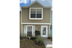 16179 Rambling Vine Dr E, TAMPA