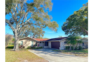 2049 Sandpiper Dr, PALM HARBOR