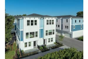 6605 N Nebraska Ave #4, TAMPA