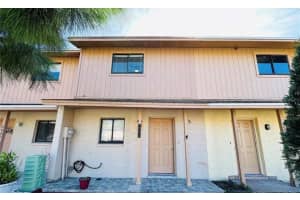 4010 Pine Limb Ct, TAMPA