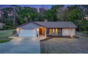 12504 Twin Branch Acres Rd, TAMPA