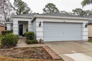 5107 Gato Del Sol Cir, WESLEY CHAPEL