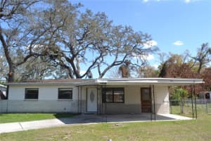 10405 N 22nd St, TAMPA