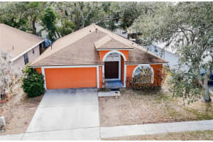 1103 Mallory Point Dr, VALRICO