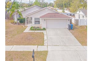 1106 Windhorst Ridge Dr, BRANDON