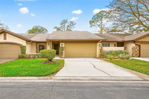 3934 Shoreside Cir, TAMPA
