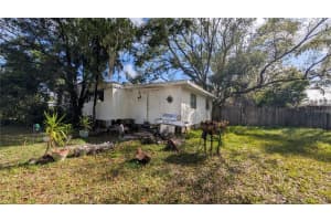 1960 Andrews Loop, LUTZ