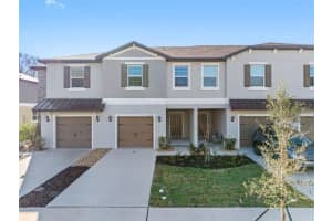 17425 Nectar Flume Dr, LAND O LAKES