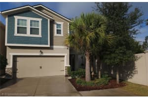 5841 Grand Sonata Ave, LUTZ