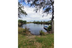 21205 Calle Rosa Dr #10, LAND O LAKES