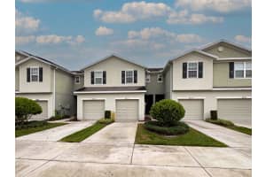 4812 White Sanderling Ct, TAMPA