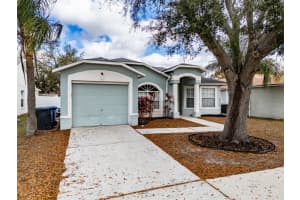 1221 Franford Dr, BRANDON