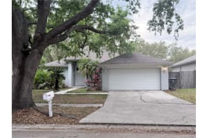 3820 Cypress Meadows Rd, TAMPA