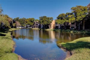 5980 Terrace Park Dr N #108, ST PETERSBURG