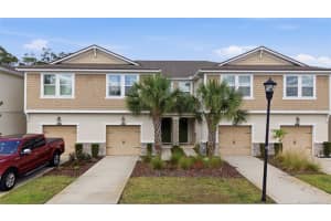 5525 Cumberland Star Ct #33, LUTZ