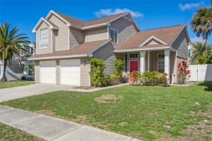 11817 Branch Mooring Dr, TAMPA