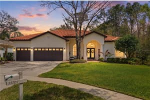 17701 Grey Eagle Rd, TAMPA