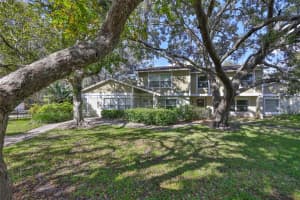 14805 Lake Forest Dr, LUTZ