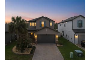 4547 San Martino Dr, WESLEY CHAPEL