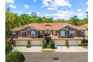 4926 Anniston Cir, TAMPA 4926 Anniston Cir, TAMPA