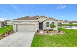 31385 Tansy Bnd, WESLEY CHAPEL