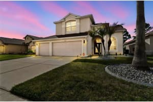 3633 Morgans Bluff Ct, LAND O LAKES