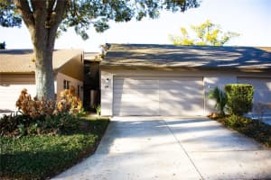 155 Fallwood St, FERN PARK