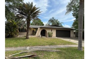 1461 Overcash Dr, DUNEDIN