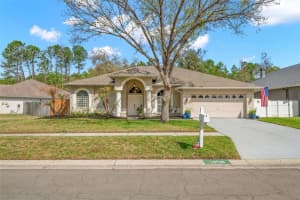 18536 Otterwood Ave, TAMPA