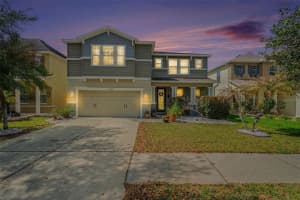 11238 Running Pine Dr, RIVERVIEW