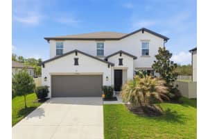 13530 Palmera Vista Dr, RIVERVIEW