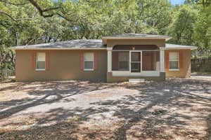 4717 Lakewood Dr, SEFFNER