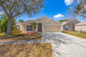 12526 Dawn Vista Dr, RIVERVIEW