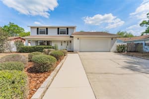 16203 Fantasia Dr, TAMPA