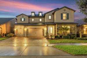 10407 Tree Skylark Pl, RIVERVIEW