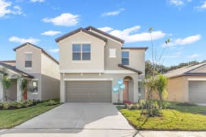 5245 White Chicory Dr, APOLLO BEACH