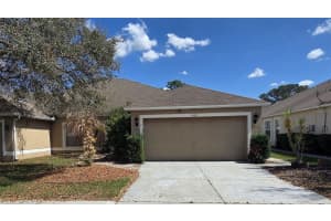 9139 Southern Charm Cir, BROOKSVILLE