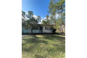 27644 Green Willow Run, WESLEY CHAPEL