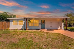 251 Davison Ave Ne, ST PETERSBURG