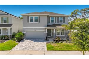 13071 Brookside Moss Dr, RIVERVIEW